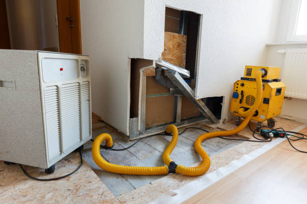 Best Mold Remediation for Healthcare Facilities  in Richgrove, CA