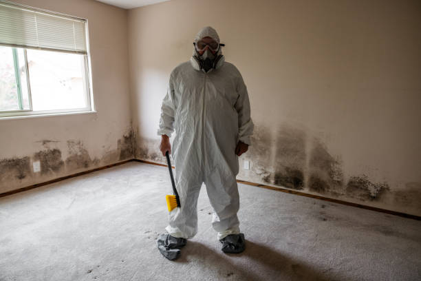 Best Industrial Mold Remediation  in Richgrove, CA